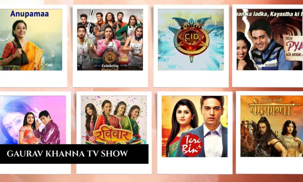 TV Shows with Gaurav Khanna